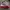 Nike Casual Sneakers Pria gray photo 1