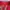 Puma Streetwear Sportswear Hoody Pria red photo 4
