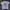 Rolling Stones Streetwear T-shirt Pria White