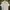Umbro Minimalist Casual Casual Shirt Pria Cream