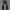 Naked & Famous Denim Vintage Casual Jeans Pria navy blue photo 3