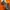 Y2K Casual T-shirt Pria orange photo 2