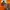 Y2K Casual T-shirt Pria Orange