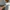Miniso Luxury Minimalist Wanita gray photo 2