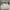 Hush Puppies Luxury Minimalist Handbag Wanita white photo 6