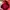 Charles and Keith Luxury Minimalist Handbag Wanita red photo 3