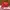 Charles and Keith Luxury Minimalist Handbag Wanita red photo 1