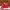 Charles And Keith Luxury Minimalist Handbag Wanita Red