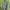 Casual Shirt dress Wanita white green photo 1