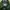 Carhartt Casual Formal shirt Pria green photo 2