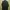 Carhartt Casual Formal shirt Pria green photo 4