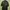 Carhartt Casual Formal shirt Pria green photo 1