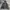 Outdoor Research Gorpcore Windbreaker Pria black photo 1