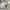 Stussy Vintage Streetwear Hoody Pria white photo 7