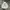 Stussy Vintage Streetwear Hoody Pria white photo 1