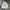 Stussy Vintage Streetwear Hoody Pria White