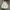 Stussy Vintage Streetwear Hoody Pria white photo 2