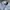 Polo Ralph Lauren Casual Formal shirt Pria blue photo 3