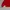 Vintage Casual Harrington jacket Pria red photo 5