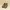 Obermain Streetwear Casual Sandals & slide Pria brown photo 1
