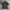 Casual Formal shirt Pria green photo 1