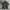 Casual Formal Shirt Pria Green