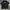 Chase Nascar Vintage T-shirt Pria Black