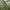 Casual Casual dress Wanita green photo 4