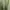 Casual Casual dress Wanita green photo 1