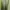 Casual Casual dress Wanita green photo 2