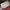 Onitsuka Tiger Streetwear Casual Sneakers Pria white gray photo 3
