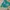 Emo Minimalist Hoody Pria green gray photo 1
