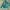 Emo Minimalist Hoody Pria Green Gray