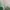 Emo Minimalist Hoody Pria green gray photo 5