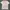 GANNI Luxury Casual T-shirt Wanita white photo 7