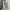 Casual Sweater Pria gray photo 1