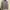 Champion Casual Sweater Pria gray photo 1