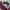 Dickies Vintage Casual Polo shirt Pria burgundy blue photo 2