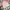 Cotton On Coquette Crop top Wanita white pink photo 1