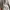 Pancoat Casual Sweater Pria gray photo 6