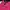 Polo Ralph Lauren Casual Polo Shirt Pria Pink