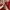 Casual Sweater Pria red photo 5