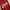 Casual Sweater Pria red photo 3