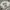 H&M Streetwear Y2K Crop top Wanita white photo 1