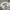 H&M Streetwear Y2K Crop Top Wanita White
