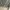 Casual Sweater Pria gray photo 7
