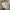 Casual Sweater Pria gray photo 6