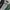 Beverly Hills Polo Club Y2K Casual Polo shirt Pria green gray photo 2