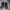 Casual Sneakers Pria black photo 4