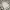 H&M Streetwear Casual Crop top Wanita white tan photo 1